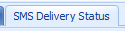 2. SMS Delivery Status tab